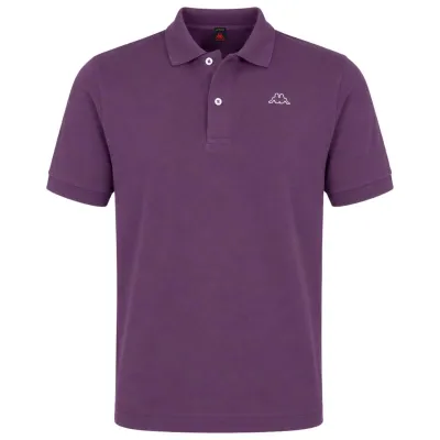 AARAU polo