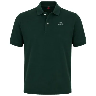 AARAU polo