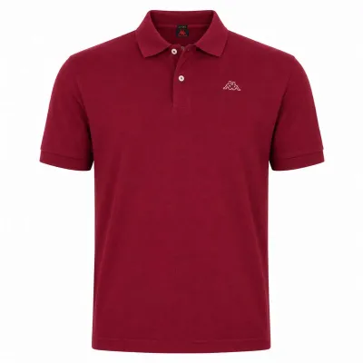 AARAU polo