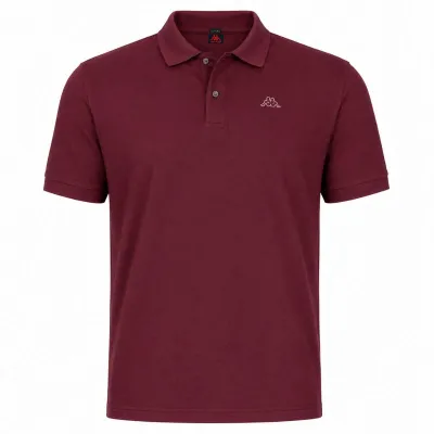 AARAU polo