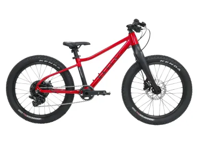 Dětské kolo Rascal Wild 20 Ruby Red (červená) Barva: červená